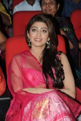 Attarintiki Daredi Thank You Meeting